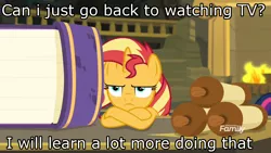 Size: 1366x768 | Tagged: safe, derpibooru import, edit, edited screencap, screencap, sunset shimmer, pony, unicorn, equestria girls, equestria girls series, forgotten friendship, book, bored, crossed hooves, fireplace, image macro, meme, scroll, solo, sunset shimmer is not amused, unamused