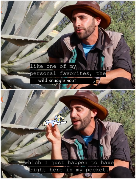 Size: 3048x4000 | Tagged: artist:nootaz, brave wilderness, coyote peterson, derpibooru import, hat, human, irl, irl human, male, micro, oc, oc:nootaz, photo, plant, ponified animal photo, safe, subtitles