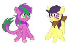 Size: 1347x815 | Tagged: abyssinian, alternate universe, artist:galaxyswirlsyt, base used, cat, cat pony, commission, derpibooru import, dracony, fangs, fur, hybrid, lateverse, my little pony: the movie, next generation, oc, oc:cardamom, oc:firestorm swirl, offspring, original species, parent:amethyst star, parent:capper, parent:saffron masala, parents:amespike, parent:spike, parents:saffer, safe, scales, simple background, sitting, tail, transparent background, unofficial characters only, whiskers, wings