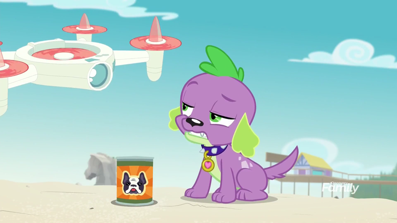 Size: 1920x1080 | Tagged: safe, derpibooru import, screencap, spike, spike the regular dog, dog, equestria girls, equestria girls series, forgotten friendship, dog food, rock horse, selfie drone, spike is not amused, spike's dog collar, unamused