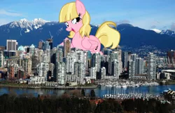 Size: 1600x1030 | Tagged: safe, derpibooru import, pegasus, pony, andrea libman, british columbia, canada, city, giant pony, highrise ponies, irl, macro, pegasus oc, photo, story included, vancouver, wings