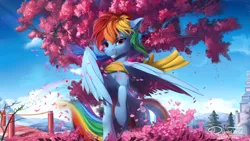 Size: 1920x1080 | Tagged: safe, artist:discordthege, derpibooru import, rainbow dash, pegasus, pony, backwards cutie mark, beautiful, building, cherry blossoms, clothes, cloud, detailed, female, flower, flower blossom, flower petals, japan, looking at you, mare, petals, scarf, scenery, scenery porn, sky, smiling, solo, tree, wallpaper