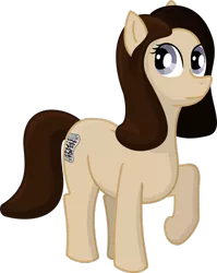 Size: 797x1003 | Tagged: safe, artist:malte279, derpibooru import, oc, oc:inky page, earth pony, pony, free to use, npc, pen and paper rpg, raised hoof, simple background, transparent background, vector