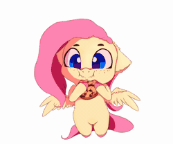 Size: 560x467 | Tagged: safe, artist:miokomata, derpibooru import, fluttershy, pegasus, pony, animated, bipedal, chibi, cookie, cute, cute little fangs, eating, fangs, female, food, freckles, mare, miokomataz is trying to kill us, shyabetes, simple background, smol, solo, tiny ponies, weapons-grade cute, white background
