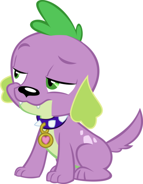 Size: 9174x11803 | Tagged: safe, artist:red4567, derpibooru import, spike, spike the regular dog, dog, equestria girls, equestria girls series, forgotten friendship, absurd resolution, collar, paws, simple background, solo, spike is not amused, spike's dog collar, transparent background, unamused, vector