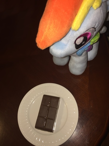 Size: 2448x3264 | Tagged: 4de, derpibooru import, d ration, food, irl, photo, plate, plushie, rainbow dash, safe, world war ii