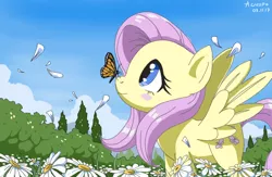 Size: 772x502 | Tagged: safe, artist:vinilyart, derpibooru import, fluttershy, butterfly, pegasus, pony, blush sticker, blushing, butterfly on nose, camomile, cute, flower, flower field, flower petals, insect on nose, looking at something, looking up, monarch butterfly, profile, scenery, shyabetes, smiling, solo, spread wings, standing, wings