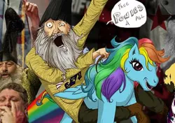 Size: 447x315 | Tagged: cropped, derpibooru import, human, humans riding ponies, irl, irl human, male, photo, rainbow dash, riding, safe, vermin supreme