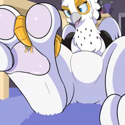 Size: 1000x1000 | Tagged: suggestive, artist:mrrowboat, derpibooru import, oc, oc:ginger, oc:paige, unofficial characters only, gryphon, fetish, gripping, low angle, micro, paw fetish, paws, pressure, smothering, toe beans, toes, tongue out, underpaw