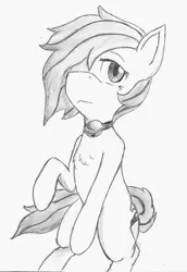 Size: 904x1315 | Tagged: safe, artist:spackle, derpibooru import, oc, oc:mystic blare, unofficial characters only, earth pony, pony, bell, bell collar, collar, femboy, hair over one eye, male, monochrome, raised hoof, sitting, solo, stallion, traditional art