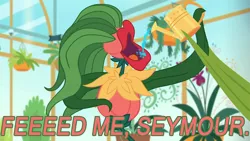 Size: 1024x576 | Tagged: safe, derpibooru import, edit, edited screencap, screencap, equestria girls, equestria girls series, my little shop of horrors, audrey 2, caption, feed me seymour, flower, image macro, little shop of horrors, song reference, text, watering can