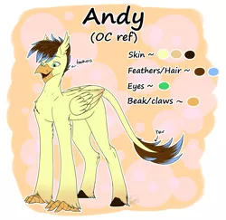 Size: 5032x4886 | Tagged: absurd resolution, artist:ggchristian, classical hippogriff, derpibooru import, hippogriff, male, oc, oc:andy, reference sheet, safe, solo