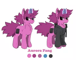 Size: 1280x1024 | Tagged: safe, artist:aurorafang, derpibooru import, oc, oc:aurorafang, pony, unicorn, clothes, drawing tablet, fluffy, heterochromia, jacket, male, reference sheet, stallion