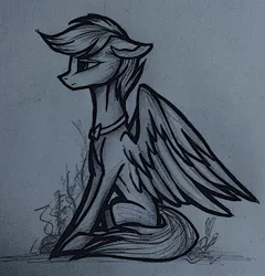 Size: 1359x1413 | Tagged: artist needed, safe, derpibooru import, oc, oc:shining glow, unofficial characters only, pegasus, pony, bowtie, male, monochrome, simple background, solo, stallion