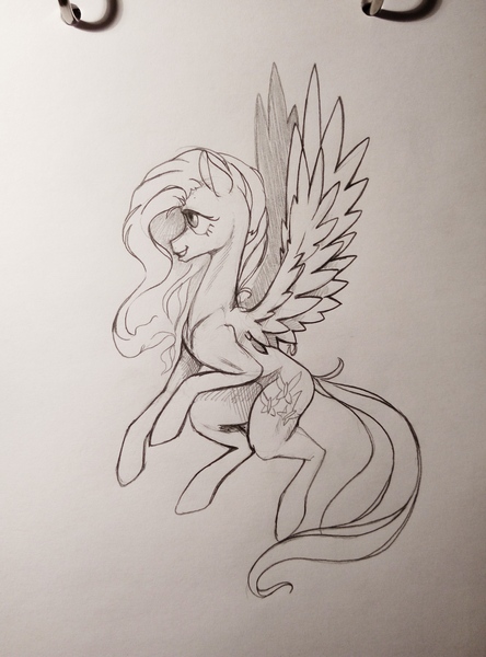 Size: 3104x4192 | Tagged: safe, artist:skrapbox, derpibooru import, fluttershy, pegasus, pony, female, flying, grayscale, looking away, looking up, mare, monochrome, pencil drawing, profile, simple background, sketch, solo, spread wings, traditional art, white background, wings