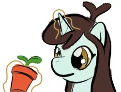 Size: 840x640 | Tagged: safe, artist:phat_guy, derpibooru import, sprout greenhoof, pony, unicorn, bust, female, flower pot, glowing horn, las pegasus resident, levitation, looking at something, magic, mare, plant, portrait, potted plant, simple background, solo, sprout, telekinesis, terracotta, white background