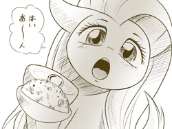 Size: 600x450 | Tagged: artist:phoenixperegrine, cute, derpibooru import, feeding, female, fluttershy, food, grayscale, japanese, magnet hoof, monochrome, open mouth, pixiv, rice, safe, shyabetes, simple background, solo, speech bubble, spoon