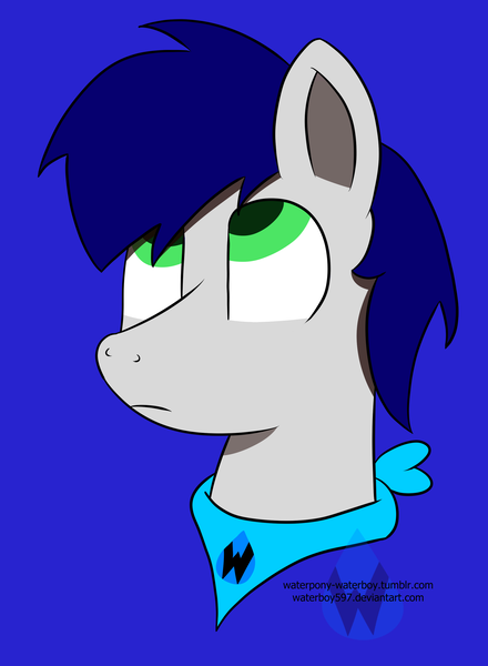 Size: 2293x3126 | Tagged: safe, artist:waterboy597, derpibooru import, oc, oc:waterpony, unofficial characters only, pony, bust, portrait, simple background