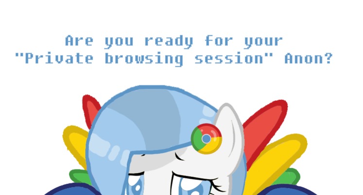 Size: 747x403 | Tagged: bronybait, browser ponies, cropped, derpibooru import, google chrome, implied anon, incognito mode, looking at you, oc, oc:google chrome, simple background, suggestive, talking, talking to viewer, white background