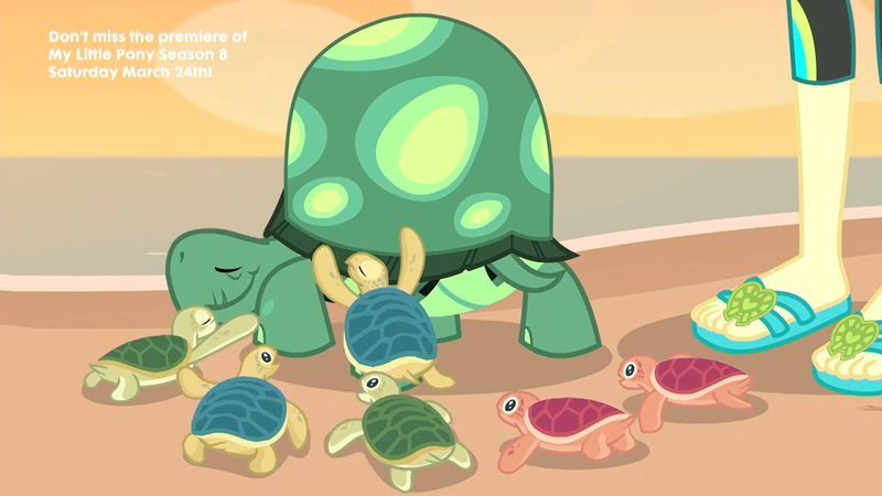 Size: 1920x1080 | Tagged: safe, derpibooru import, screencap, fluttershy, tank, tortoise, turtle, aww... baby turtles, equestria girls, equestria girls series, baby turtle, beach, feet, flip-flops, imprinting, sandals, sea turtle, sun, sunset