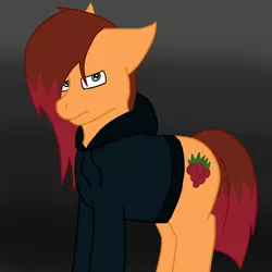 Size: 1200x1200 | Tagged: safe, artist:insanity-w0lf, derpibooru import, oc, oc:raspberry cobbler, unofficial characters only, earth pony, pony, clothes, depressed, food, gradient background, hoodie, looking at you, male, offspring, parent:cheese sandwich, parent:pinkie pie, parents:cheesepie, raspberry (food), solo, stallion