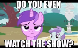 Size: 960x600 | Tagged: safe, derpibooru import, edit, edited screencap, screencap, amethyst star, liza doolots, petunia, tootsie flute, pony, unicorn, amethyst star is not amused, background pony, do you even watch the show?, female, filly, fountain, image macro, impact font, mare, meme