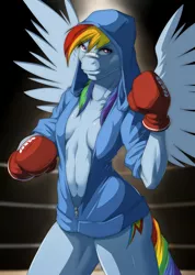 Size: 854x1200 | Tagged: absolute cleavage, anthro, artist:doomy, backwards cutie mark, bandage, belly button, bottomless, boxing, boxing gloves, breasts, cleavage, clothes, derpibooru import, female, hoodie, looking at you, partial nudity, rainbow dash, realistic, small breasts, solo, solo female, sports, strategically covered, stupid sexy rainbow dash, suggestive