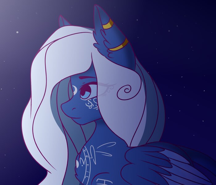 Size: 2520x2160 | Tagged: safe, artist:romablueberry, derpibooru import, oc, unofficial characters only, pegasus, pony, bust, chest fluff, ear fluff, female, mare, night, solo, stars