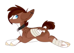 Size: 1024x737 | Tagged: safe, artist:kiara-kitten, derpibooru import, oc, oc:coco, pegasus, pony, bandage, female, mare, prone, simple background, solo, transparent background