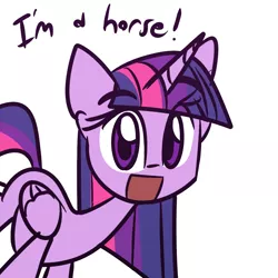 Size: 1280x1280 | Tagged: safe, artist:lilboulder, derpibooru import, twilight sparkle, twilight sparkle (alicorn), alicorn, horse, pony, :d, captain obvious, cute, dialogue, eye clipping through hair, female, horn, i am a horse, looking at you, mare, open mouth, simple background, solo, truth, twiabetes, white background, wings