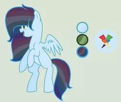 Size: 810x683 | Tagged: safe, artist:princessunicorn123, derpibooru import, oc, oc:feathered wings, unofficial characters only, pegasus, pony, base used, female, green background, mare, offspring, parent:rainbow dash, parent:soarin', parents:soarindash, rainbow hair, reference sheet, simple background, solo