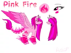 Size: 1024x768 | Tagged: safe, artist:lolaandthepinksky, derpibooru import, oc, oc:pink fire, unofficial characters only, pegasus, pony, bangs, blushing, colored wings, colored wingtips, cutie mark, eye, eyes, female, fire, flaming hooves, flaming tail, fringe, hair over one eye, leonine tail, long mane, mare, name, pink eyes, pink hair, reference sheet, signature, simple background, socks (coat marking), solo, spread wings, text, unshorn fetlocks, white background, wings