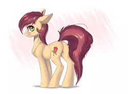 Size: 4102x3011 | Tagged: safe, artist:vincher, derpibooru import, roseluck, earth pony, pony, cute, cuteluck, dock, female, mare, plot, smiling, solo