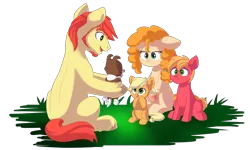 Size: 4693x2821 | Tagged: safe, artist:chub-wub, derpibooru import, applejack, big macintosh, bright mac, pear butter, winona, dog, earth pony, pony, beard, brightbutter, colt, colt big macintosh, cute, facial hair, female, filly, filly applejack, hoof hold, male, pregnant, puppy, shipping, sideburns, simple background, smiling, stallion, straight, transparent background, younger