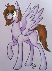 Size: 513x701 | Tagged: safe, derpibooru import, oc, oc:lilac sciath, pegasus, pony, artist, brown mane, colored pencil drawing, cute, ear piercing, earring, female, jewelry, mare, paper, pen, piercing, pretty, purple, smiling, tall, traditional art, wings