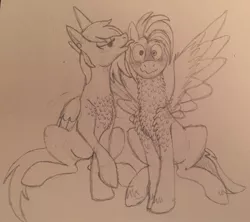 Size: 850x756 | Tagged: artist needed, suggestive, derpibooru import, oc, oc:ban pinna, oc:lilac sciath, pegasus, pony, boyfriend, coltfriend, ear licking, feather, female, fluffy, girlfriend, male, mare, marefriend, pencil drawing, sitting, spread wings, stallion, tongue fetish, traditional art, wingboner, wings