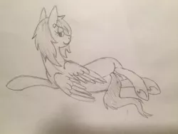 Size: 1024x768 | Tagged: suggestive, derpibooru import, oc, oc:lilac sciath, pegasus, pony, back, bedroom eyes, female, flank, mare, nudity, pencil drawing, pose, sexy, side, traditional art, wings