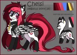 Size: 1100x792 | Tagged: safe, artist:tenebristayga, derpibooru import, oc, oc:chelsi, unofficial characters only, pegasus, pony, chest fluff, collar, colored hooves, colored wings, female, heterochromia, long hair, long tail, looking back, mare, reference sheet, socks (coat marking), solo