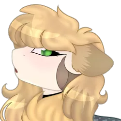 Size: 5000x5000 | Tagged: safe, artist:doux-ameri, derpibooru import, oc, pony, absurd resolution, bust, female, mare, portrait, simple background, solo, transparent background