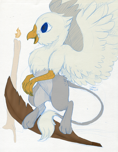 Size: 957x1234 | Tagged: safe, artist:shazzykatana, artist:tinibirb, color edit, derpibooru import, edit, oc, oc:der, unofficial characters only, gryphon, candle, colored, feather, male, micro, sketch, solo, traditional art