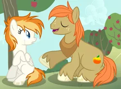 Size: 1521x1125 | Tagged: safe, artist:detoxx-retoxx, derpibooru import, oc, oc:aerial, oc:autumn gold, unofficial characters only, earth pony, pegasus, pony, apple tree, base used, crying, female, male, mare, offspring, parent:big macintosh, parent:fire streak, parent:fluttershy, parent:spitfire, parents:fluttermac, parents:spitstreak, stallion, story included, sweet apple acres, tree, unshorn fetlocks, yoke