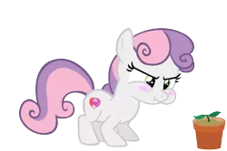 Size: 900x600 | Tagged: safe, artist:dasprid, artist:s.guri, derpibooru import, edit, editor:slayerbvc, vector edit, sweetie belle, earth pony, pony, cute, diasweetes, earth pony sweetie belle, female, filly, flower pot, foal, frustrated, hnnng, plant, puffy cheeks, race swap, simple background, solo, sprout, transparent background, vector