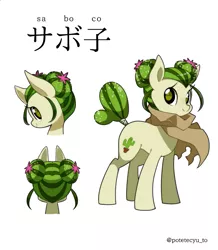 Size: 1045x1200 | Tagged: safe, artist:potetecyu_to, derpibooru import, oc, oc:saboco, unofficial characters only, cactus pony, earth pony, pony, cactus, cloak, clothes, cute, female, japanese, katakana, mare, odango, reference sheet, simple background, smiling, solo