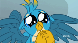 Size: 922x516 | Tagged: safe, derpibooru import, screencap, gallus, gryphon, school daze, :<, animated, cute, daaaaaaaaaaaw, discovery family logo, eye shimmer, floppy ears, frown, gallabetes, gif, hnnng, looking at you, male, puppy dog eyes, puppy-eyed gallus, sad, solo, spread wings, weapons-grade cute, wings