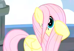 Size: 476x329 | Tagged: safe, derpibooru import, screencap, fluttershy, pegasus, pony, school daze, cropped, cute, female, hair over one eye, hiding behind mane, mare, shyabetes, solo