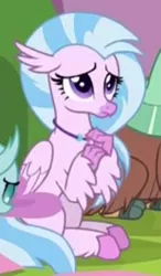 Size: 231x396 | Tagged: classical hippogriff, cropped, cute, derpibooru import, diastreamies, hippogriff, jewelry, necklace, offscreen character, safe, school daze, screencap, silverstream, solo focus