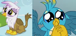 Size: 1512x720 | Tagged: safe, derpibooru import, screencap, gallus, gilda, gryphon, school daze, the lost treasure of griffonstone, chickub, comparison, cropped, cute, discovery family logo, gallabetes, gildadorable, li'l gilda, puppy dog eyes, puppy-eyed gallus, sad face, solo, younger