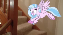 Size: 1024x575 | Tagged: artist:jamesawilliams1996, classical hippogriff, derpibooru import, excited, feathered fetlocks, female, hippogriff, irl, jewelry, necklace, photo, pointing, ponies in real life, safe, school daze, silverstream, solo, stairs, that hippogriff sure does love stairs