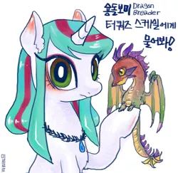 Size: 670x650 | Tagged: safe, artist:mirululu, derpibooru import, oc, oc:turquiose scale, unofficial characters only, dragon, pony, unicorn, korean, solo