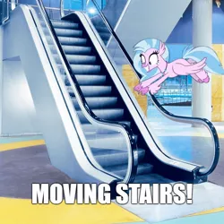 Size: 800x800 | Tagged: classical hippogriff, derpibooru import, diastreamies, edit, edited screencap, escalator, female, hippogriff, image macro, irl, meme, photo, ponies in real life, safe, school daze, screencap, silverstream, solo, that hippogriff sure does love stairs